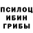 Псилоцибиновые грибы мицелий GOJAM GOJAM