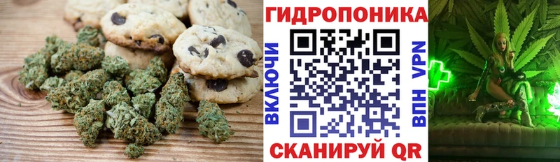 кракен сайт  купить наркоту  Протвино  Cannafood конопля 