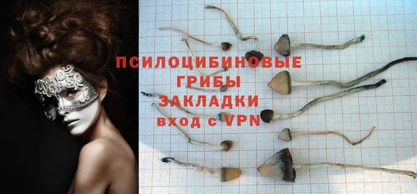 прущие крисы Абинск