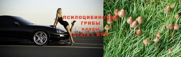 прущие крисы Абинск