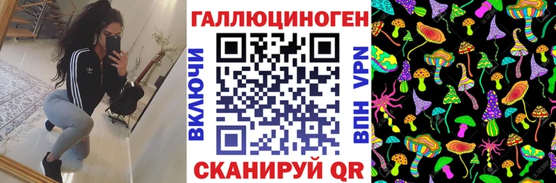 сколько стоит  Протвино  Галлюциногенные грибы Cubensis 