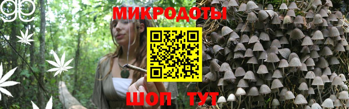 Псилоцибиновые грибы прущие грибы Протвино