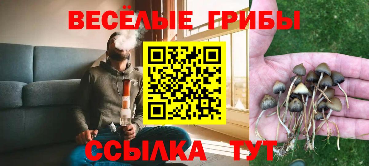 Галлюциногенные грибы GOLDEN TEACHER Протвино