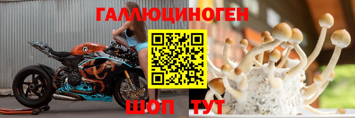Псилоцибиновые грибы Psilocybine cubensis  Вход с VPN  цены   Протвино  Галлюциногенные грибы мухоморы 